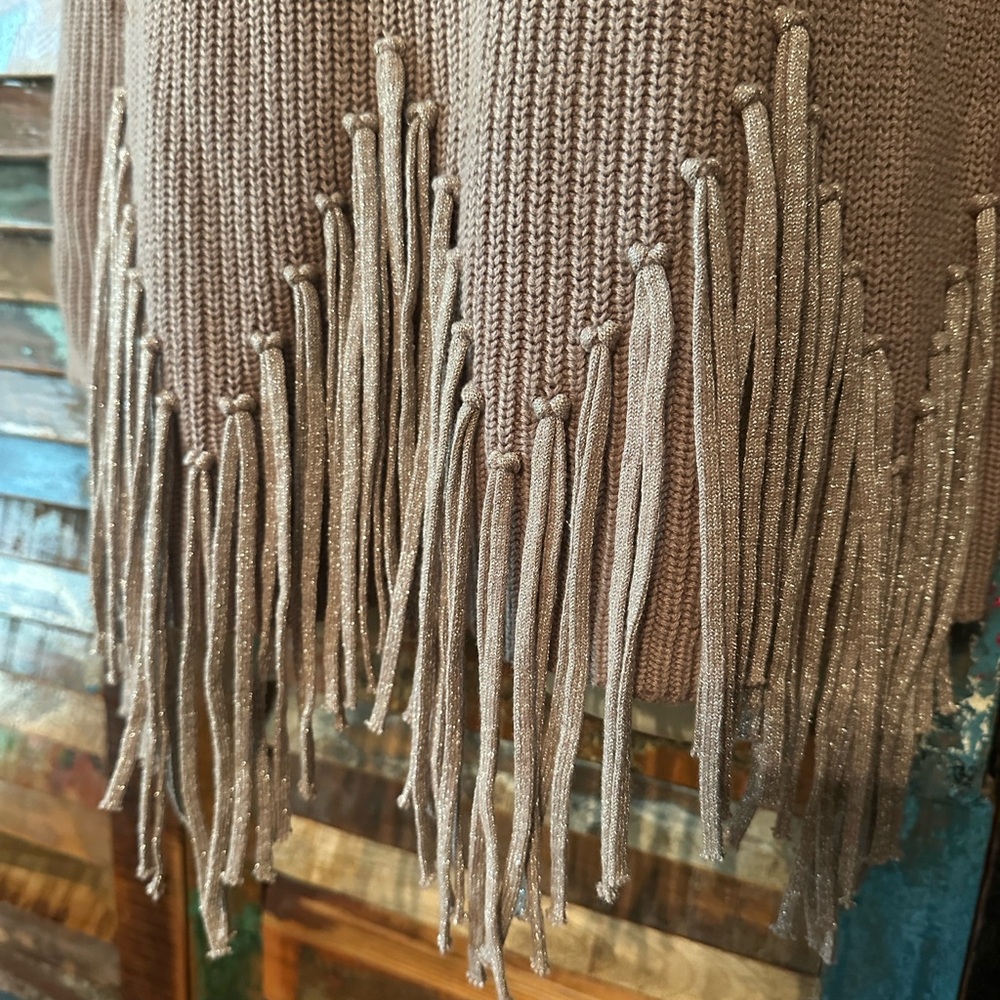 Chico's Taupe Sweater with Shimmery Tassels/Fringe size 1 - Picture 4 of 8